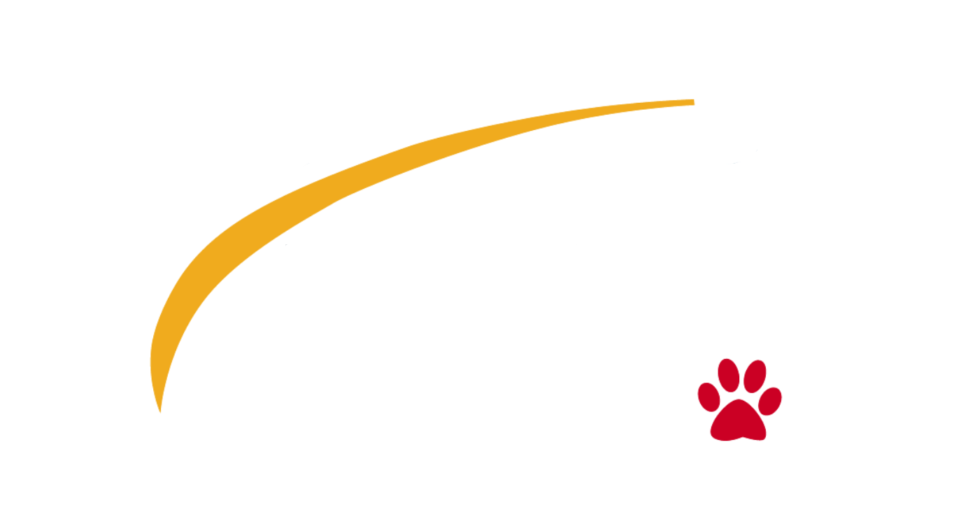 Race for Life Rescue